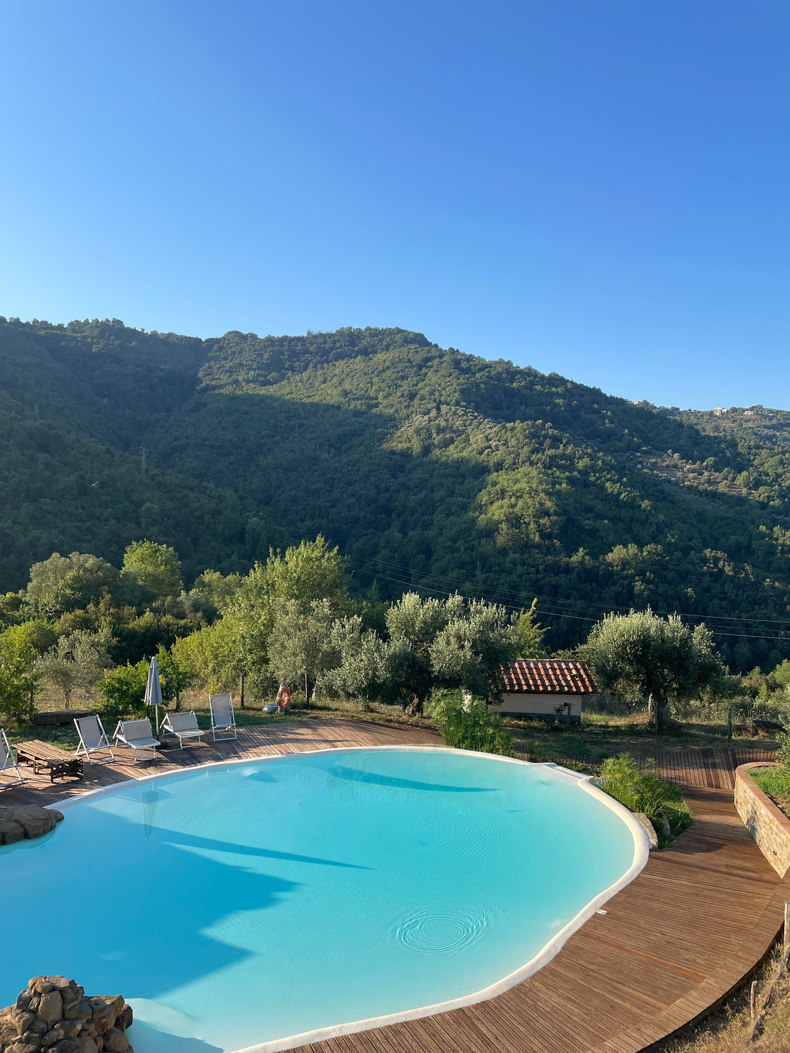 Azienda Agricola Piano di Andrea-泳池