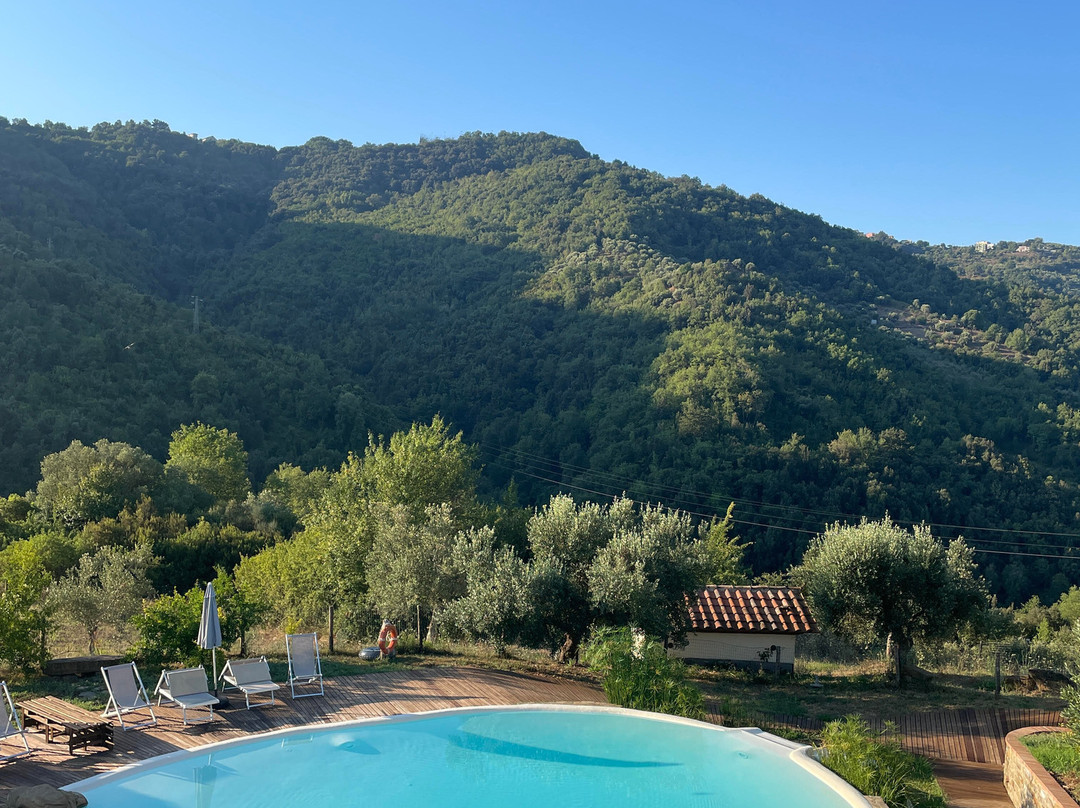 Azienda Agricola Piano di Andrea主图