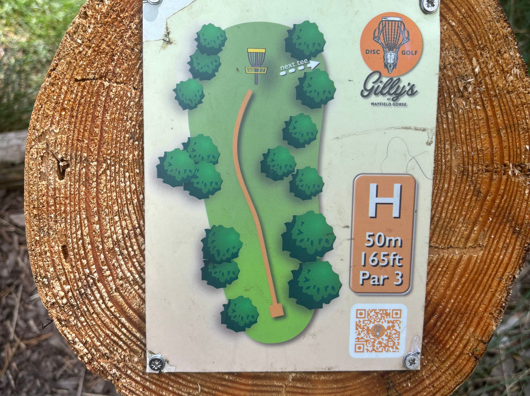 Gilly's Disc Golf景点图片