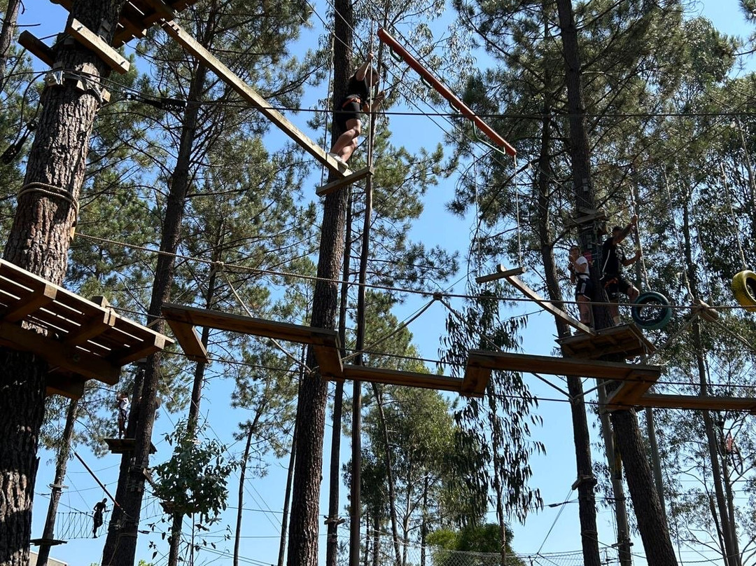 Parque Aventura Pousos Leiria景点图片