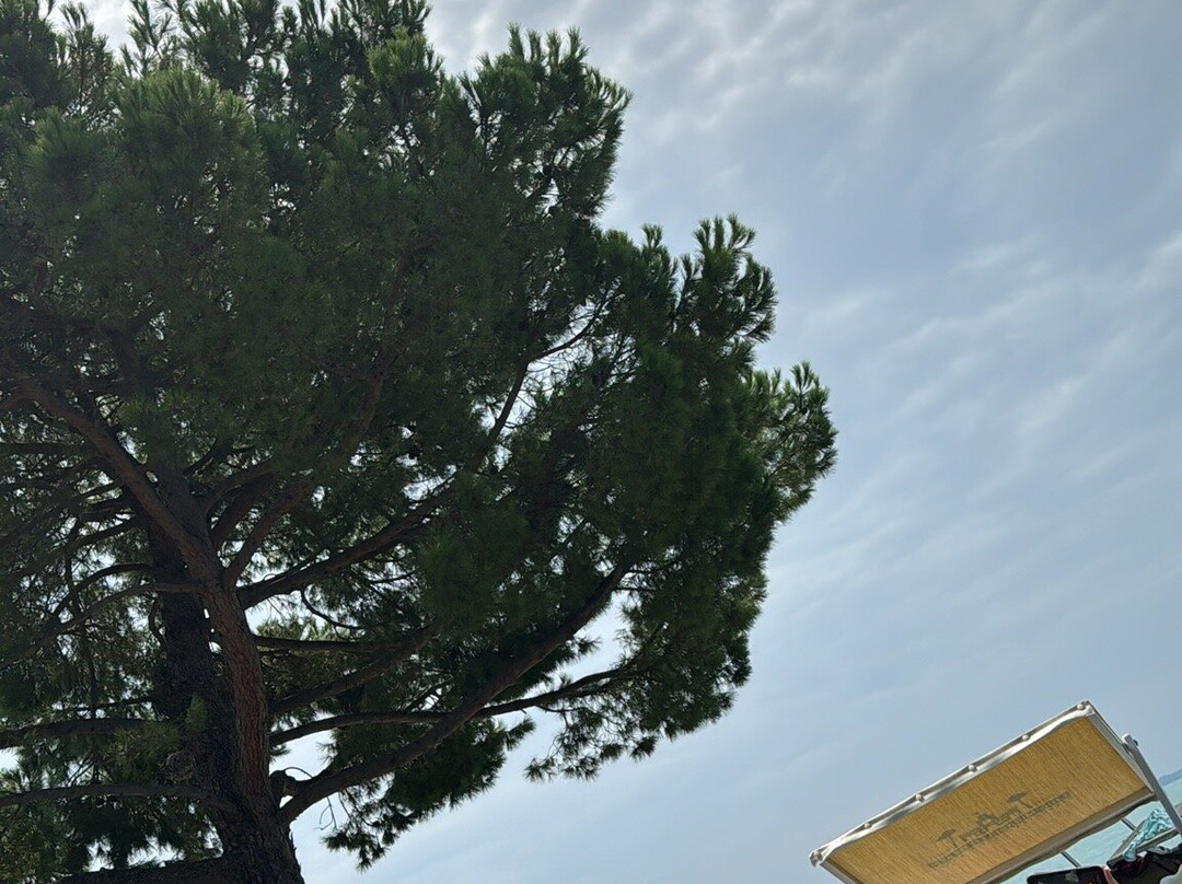 Lido Mirabello Beach景点图片