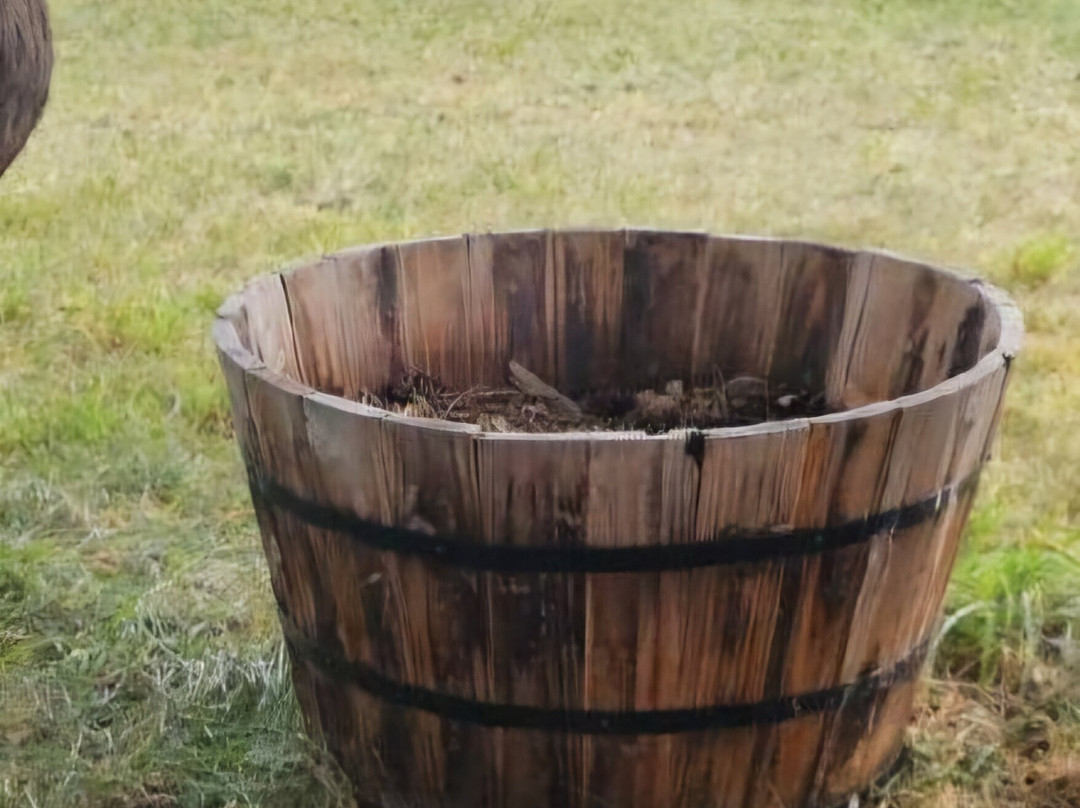 Cedar Mountain Farm Bed and Breakfast主图