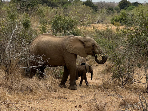 Bubezi Safaris, Tours & Transfers-雾观必去景点