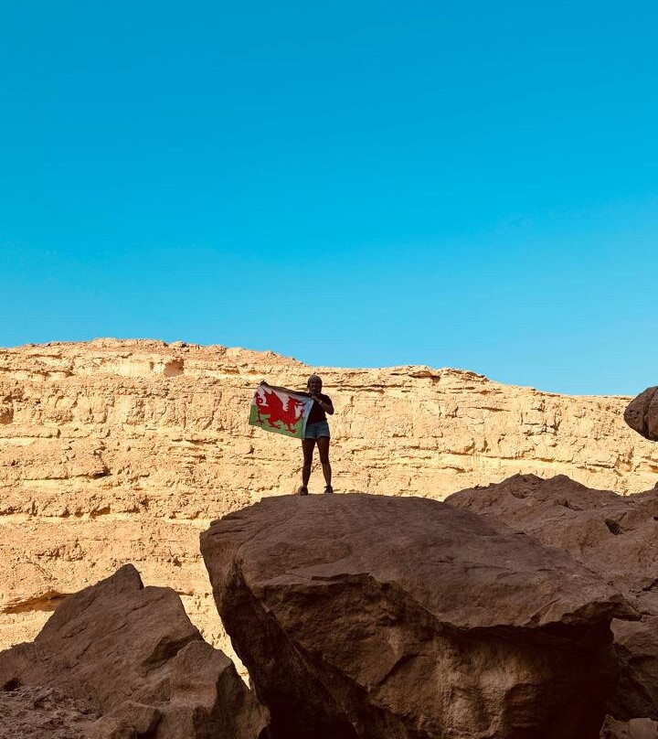 Gazelle Crossover Safari-艾高娜必去景点