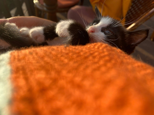 Dejavu Cafe Bar-卡斯必去景点