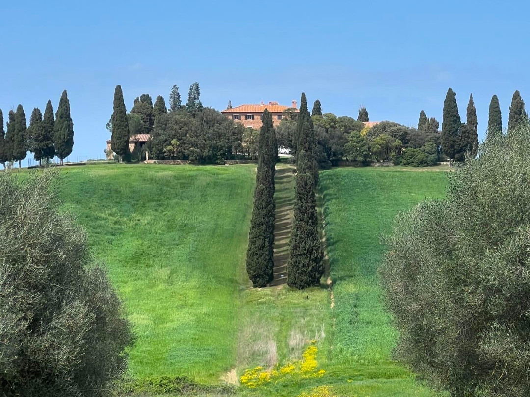 Bed and Breakfast La Martellina主图