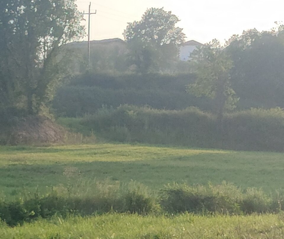 Hostal La Guineu主图