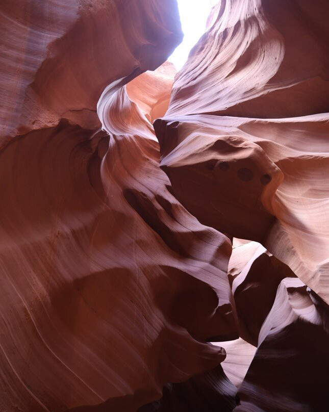 Grand Canyon Guru景点图片