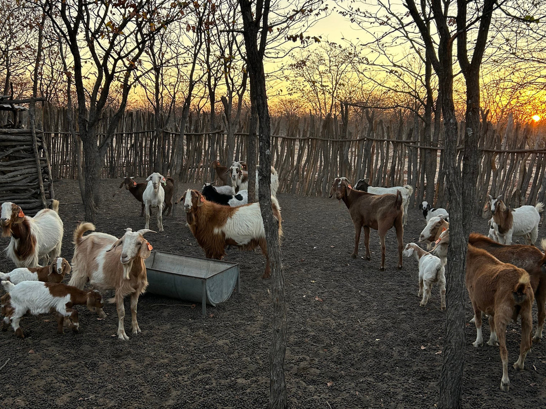 Kuminda Farm景点图片