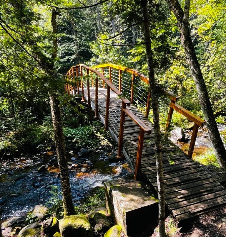 Sentier De La Forêt Marine-Saint-Joseph-de-la-Rive必去景点