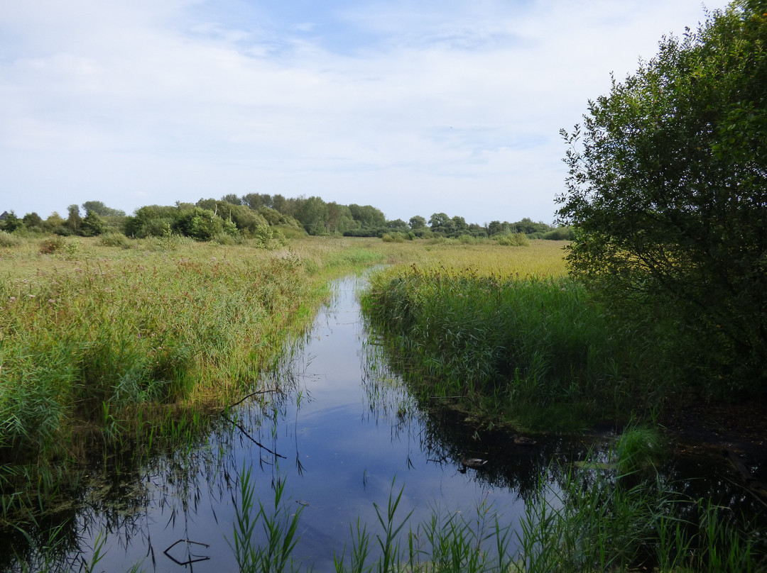 Sculthorpe Moor Nature Reserve-Fakenham必去景点