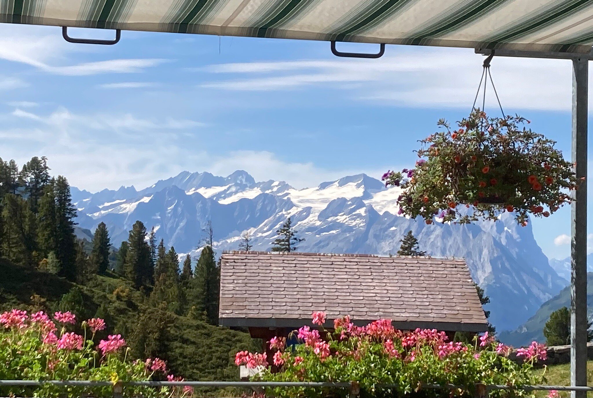 Hotel Engstlenalp-官方