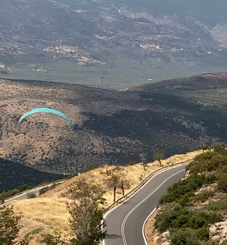 Paragliding Fun-德尔斐必去景点