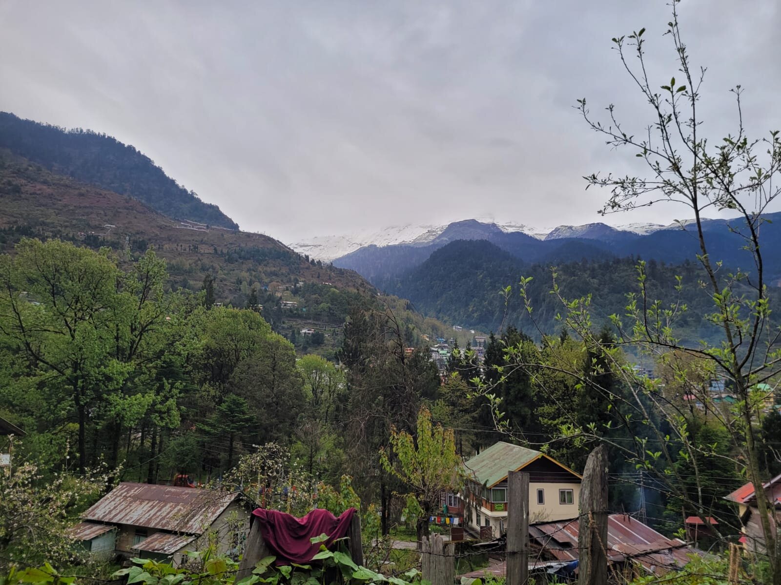 Wonder Hill Inn-官方