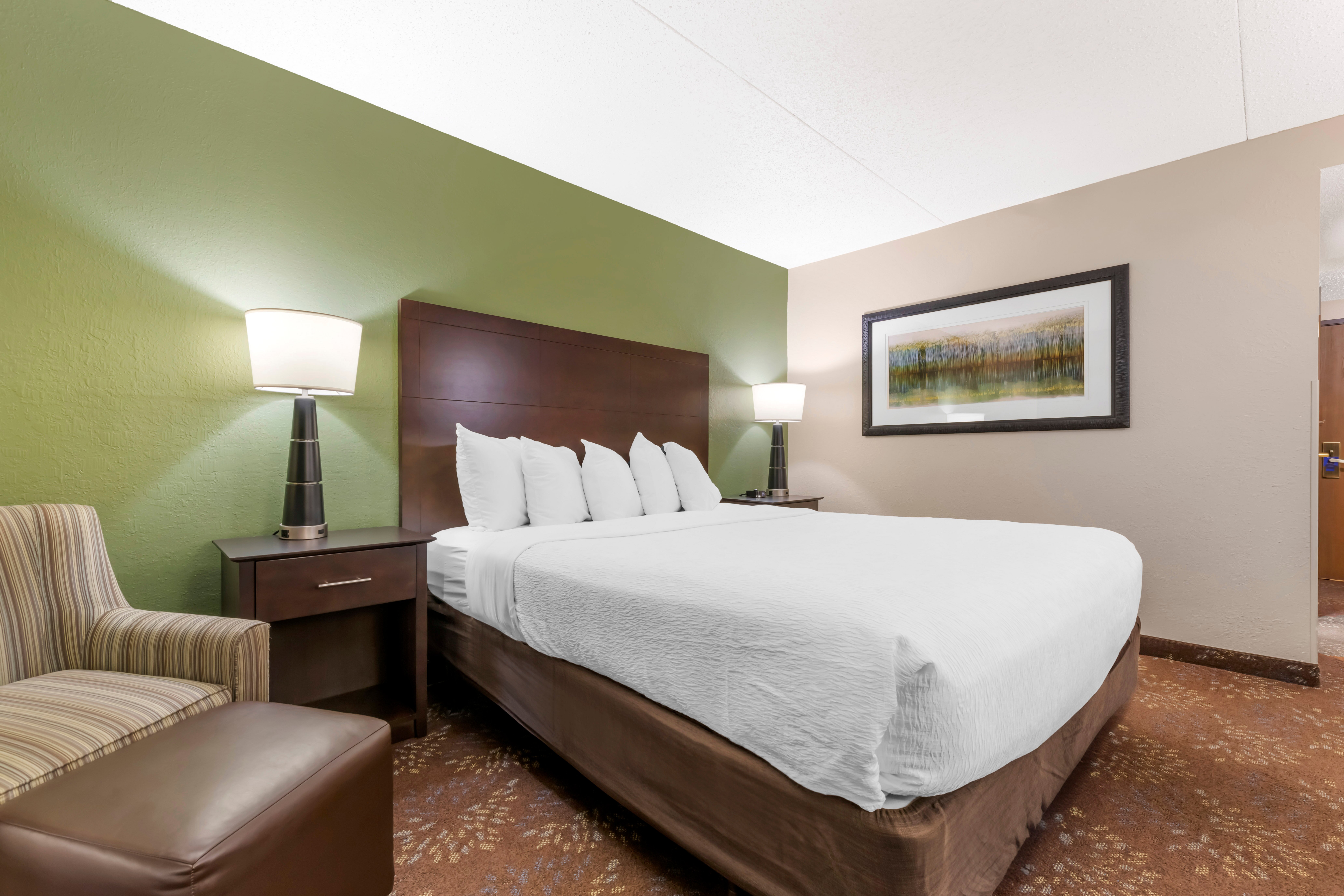 Best Western Plus New Ulm-客卧