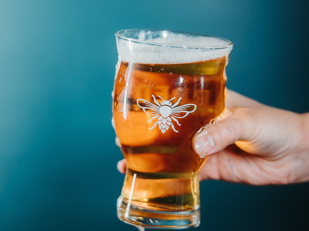 Bearded Bee Brewing Co.-Wendell必去景点
