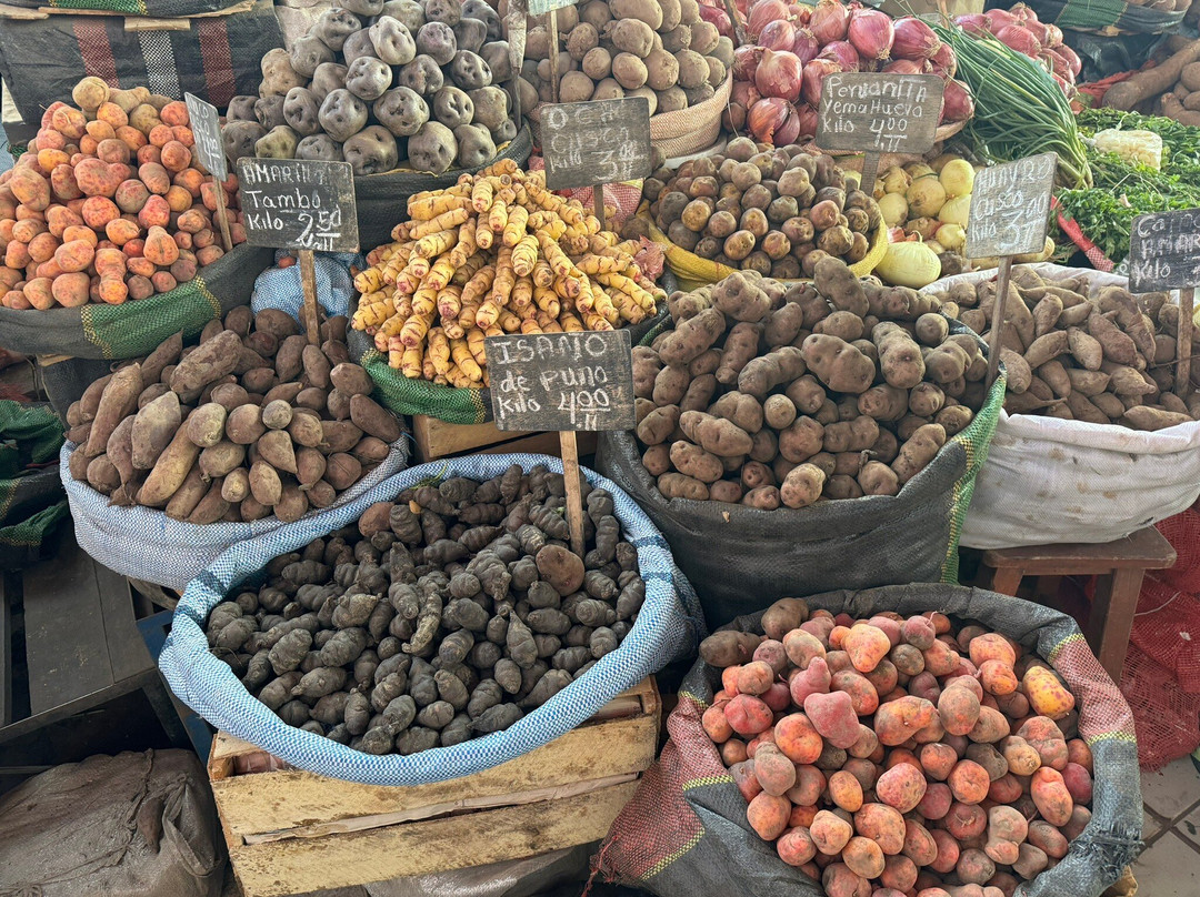 Mercado Central-阿雷基帕必去景点