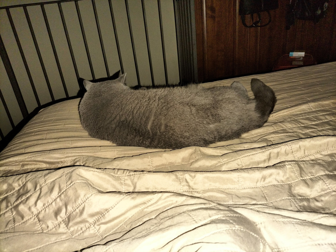 安蒂科卡萨莱酒店主图