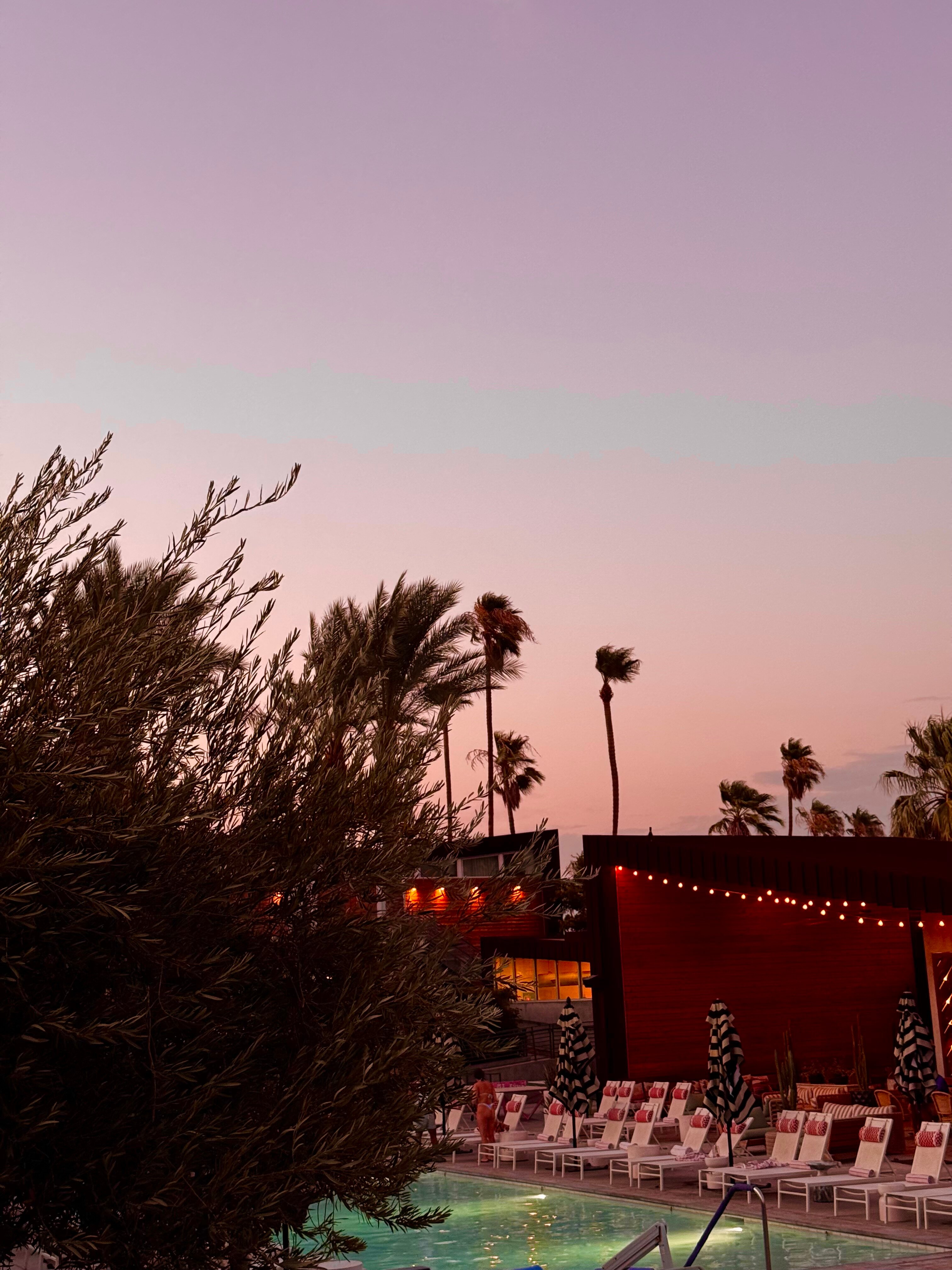 ARRIVE Palm Springs-泳池