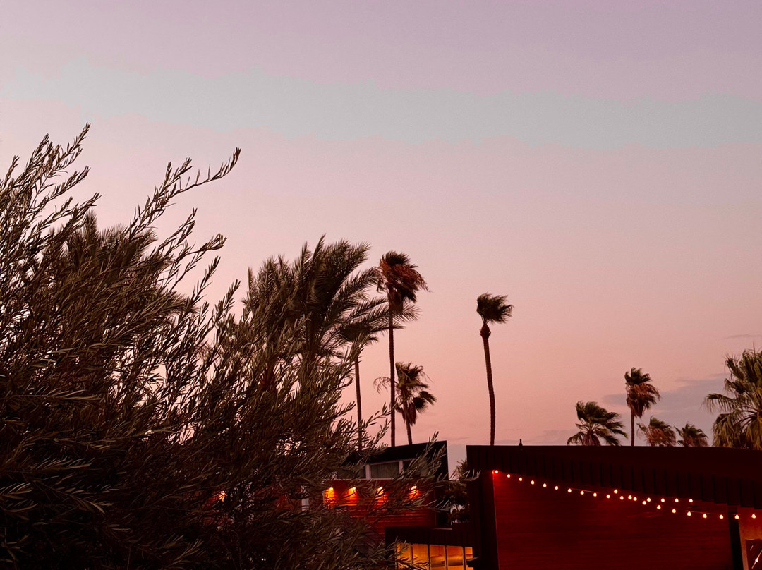 ARRIVE Palm Springs主图