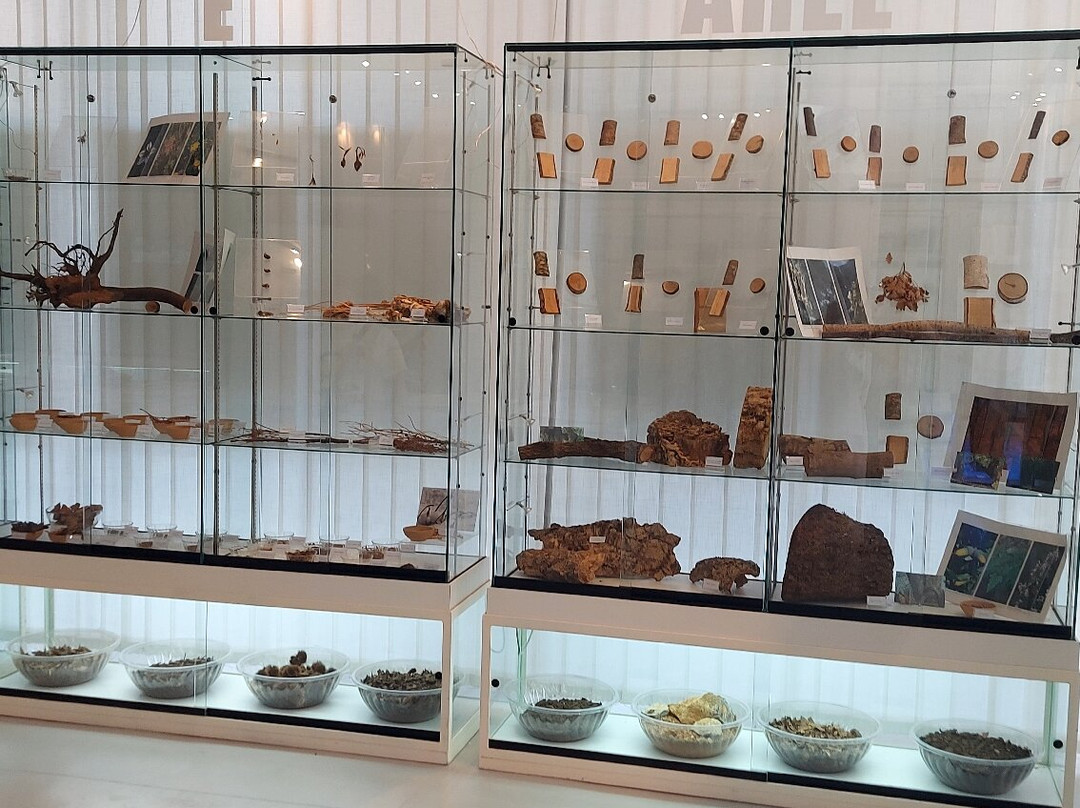 Museo Del Suolo景点图片