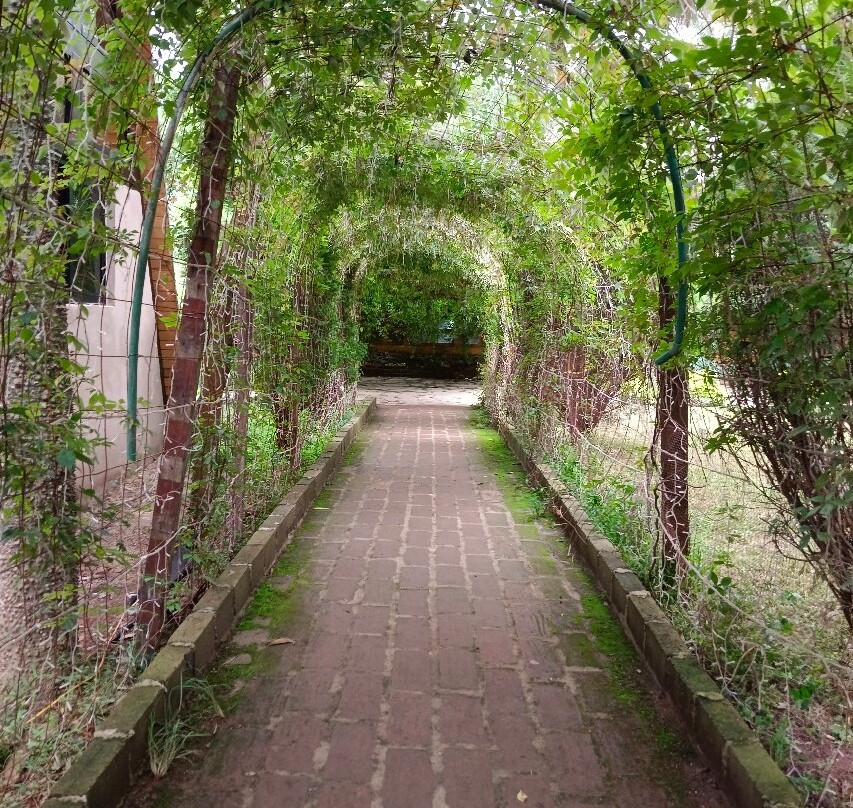 Mundo Aventura Parque Ecologico de Mazamitla-Mazamitla必去景点