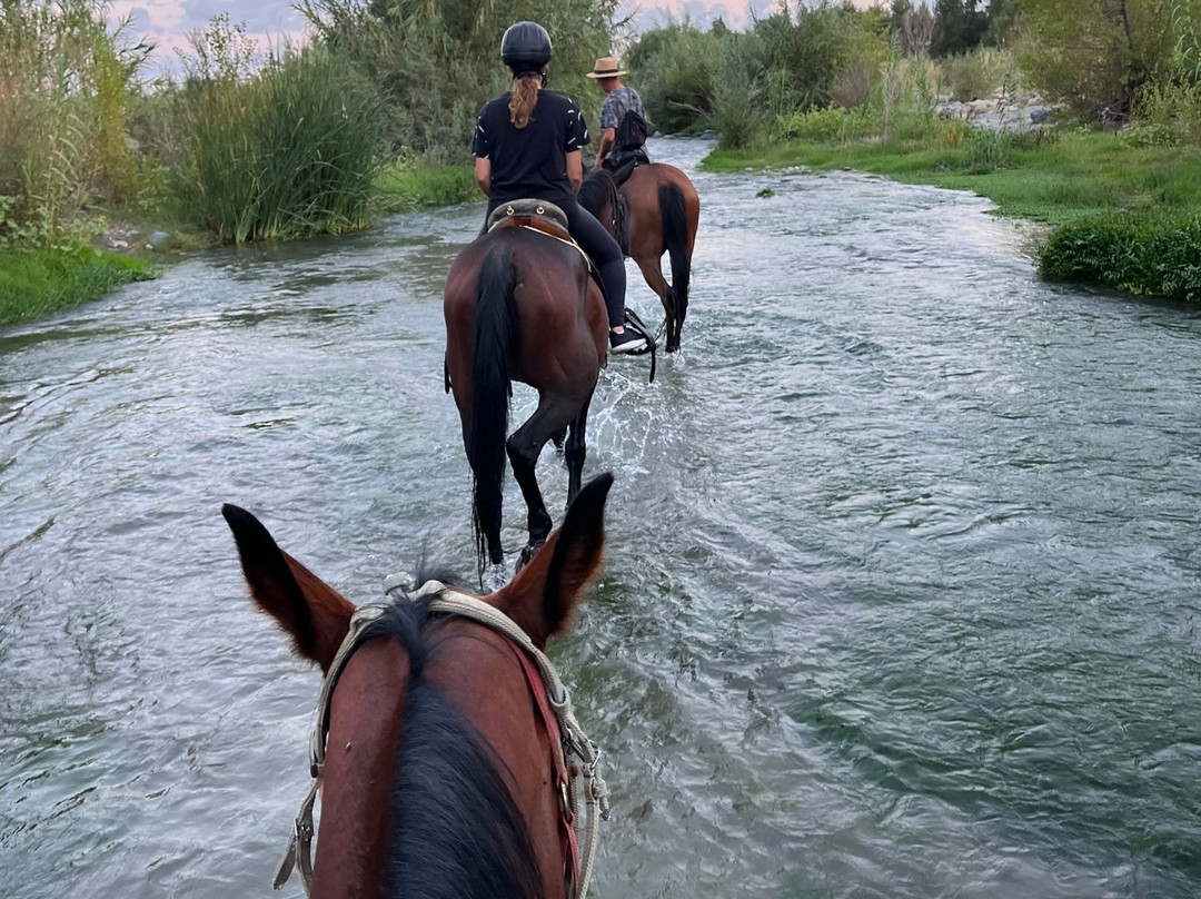 Sunshine Adventure Horses Power景点图片