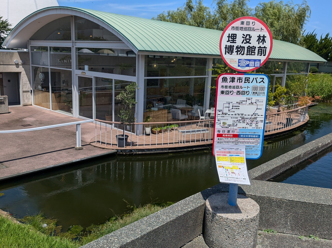 Uozu Buried Forest Museum-鱼津市必去景点
