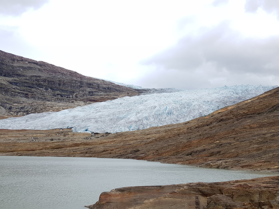 The Svartisen Glacier Austerdalsisen景点图片