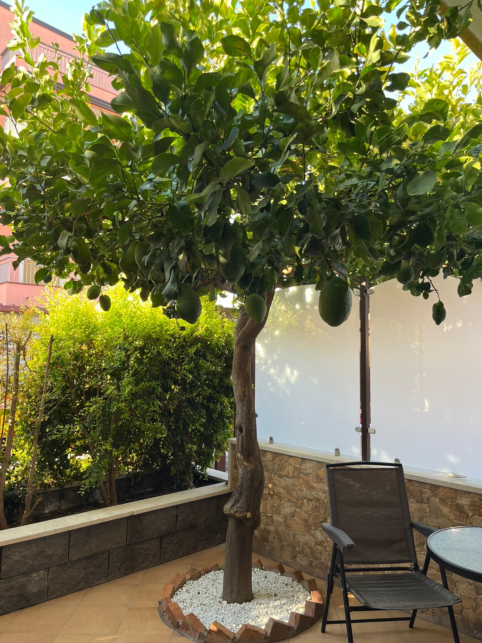 B&B My Sicily-官方