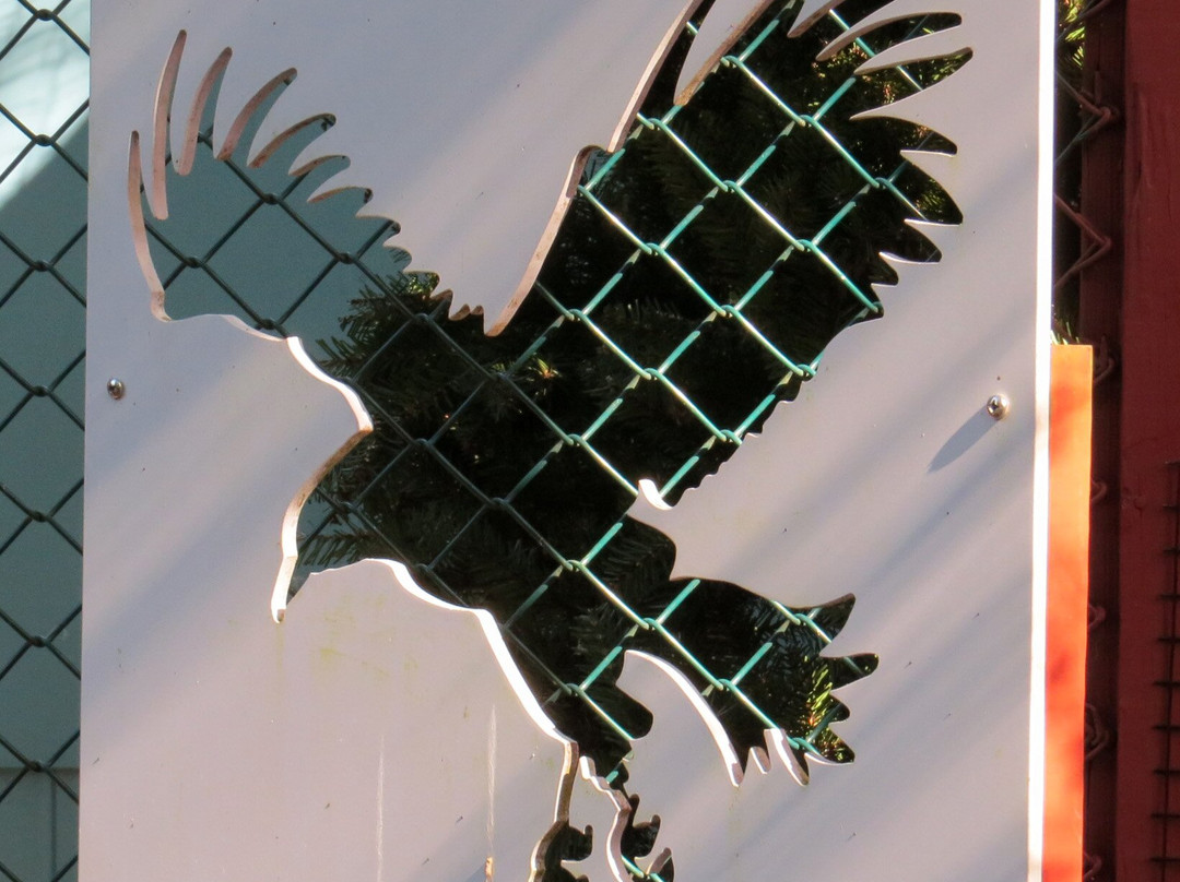 The Raptor Trust Center景点图片