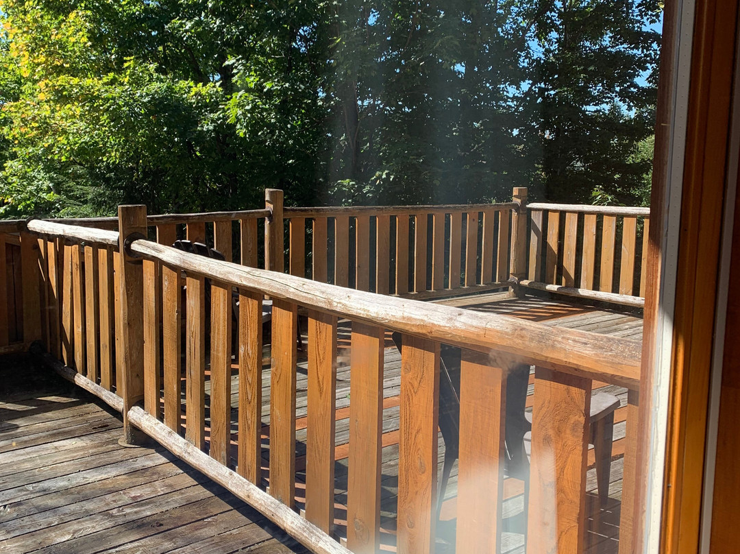 Hotel Sacacomie主图