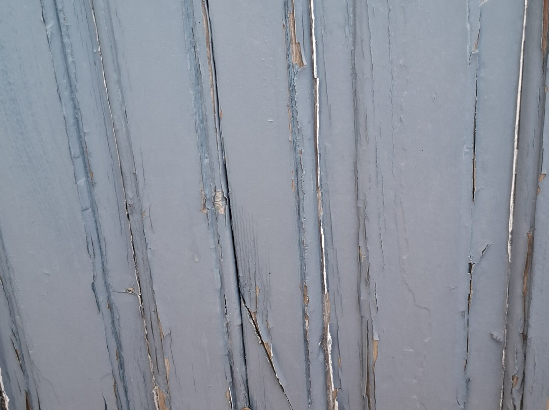 Michaelia Hotel主图