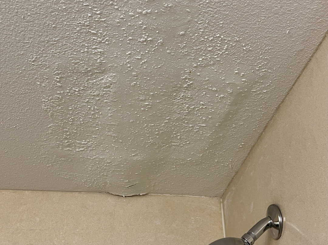 巴特尔斯维尔希尔顿花园旅馆主图