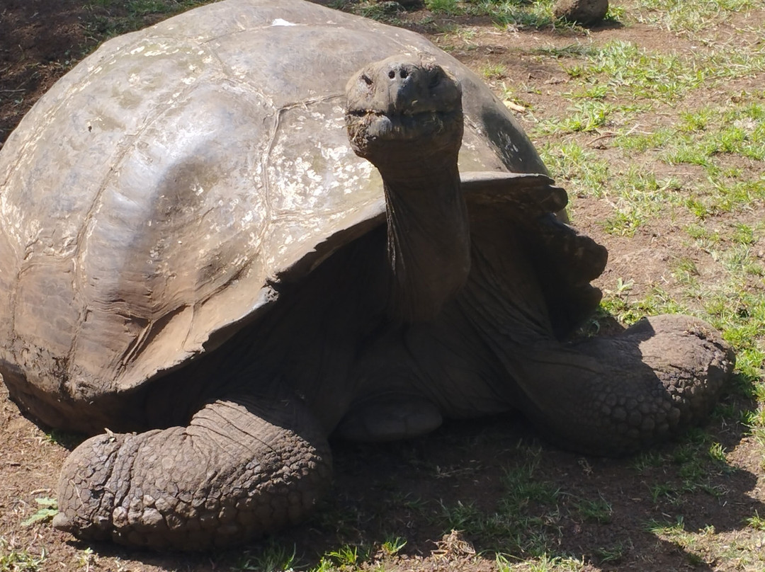 The Last Paradise-Pinzon必去景点