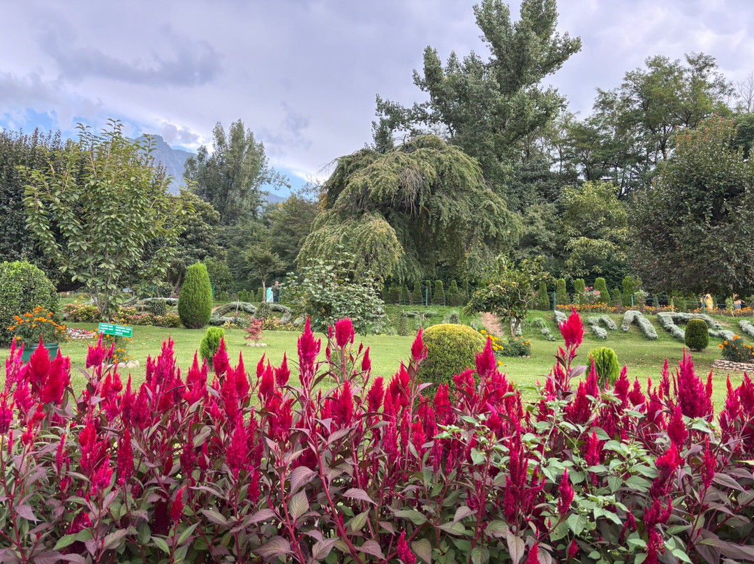 Jawaharlal Nehru Memorial Botanical Gardens-斯利那加必去景点