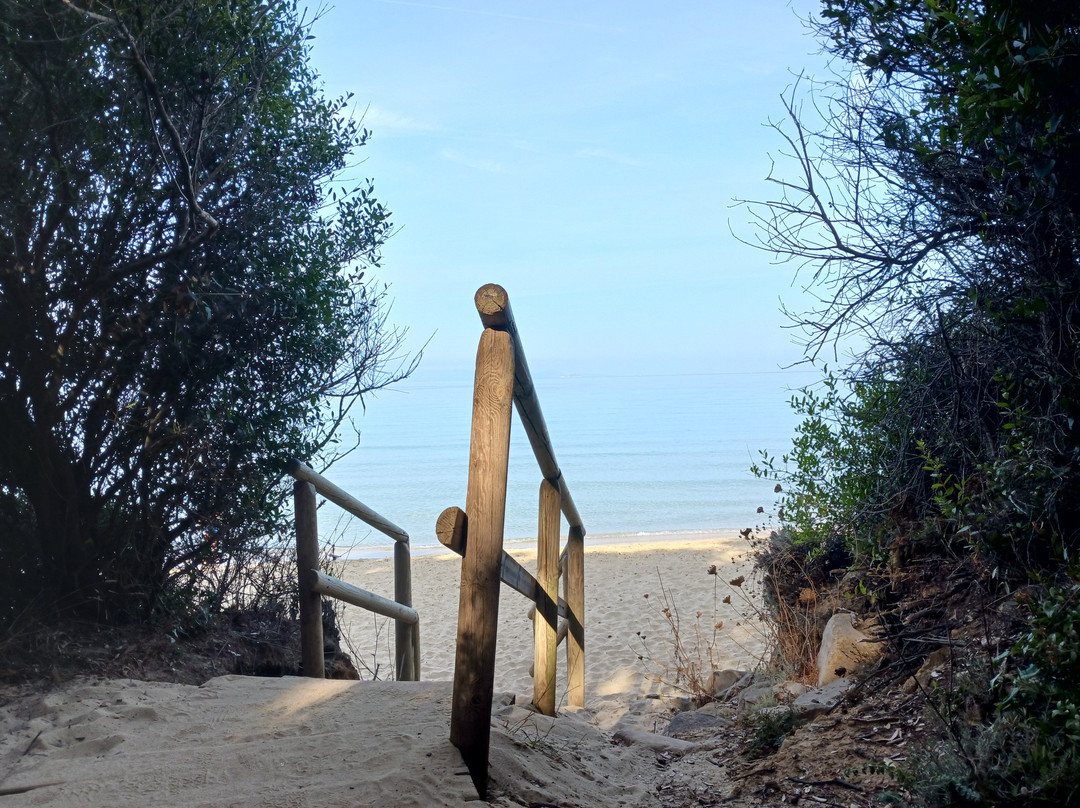 Cala Violina景点图片