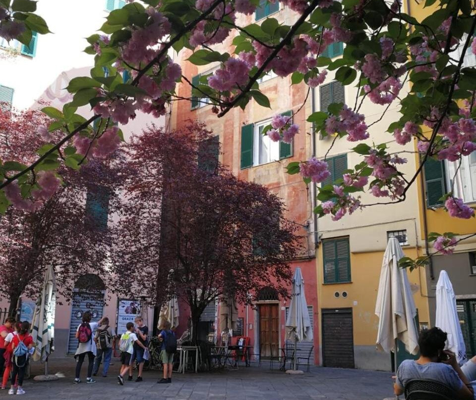 B&B Lavagna Uno主图