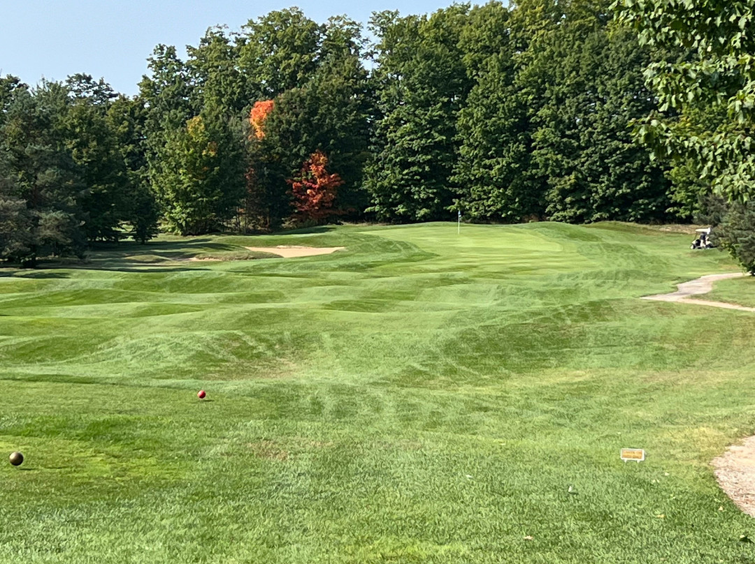 Timber Wolf Golf Club景点图片