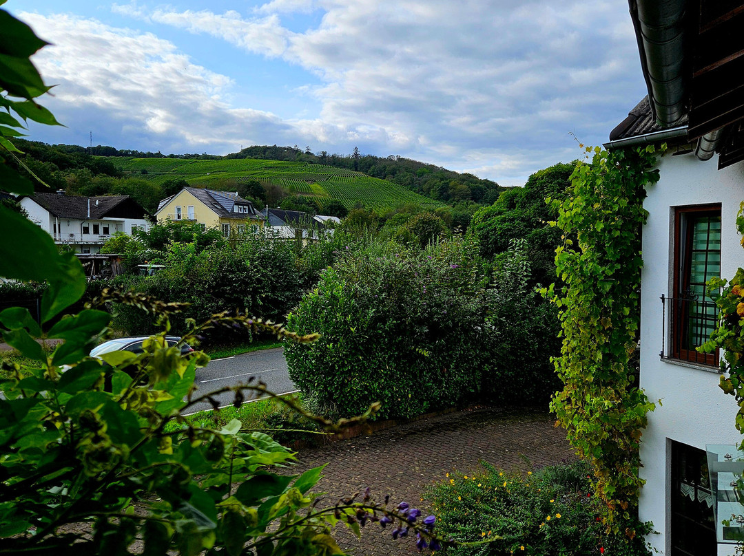 Weingut Raevenhof景点图片