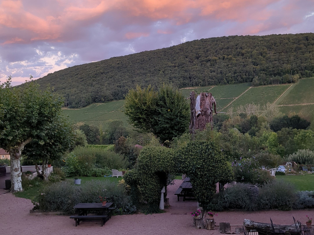 Le Clos Domange主图
