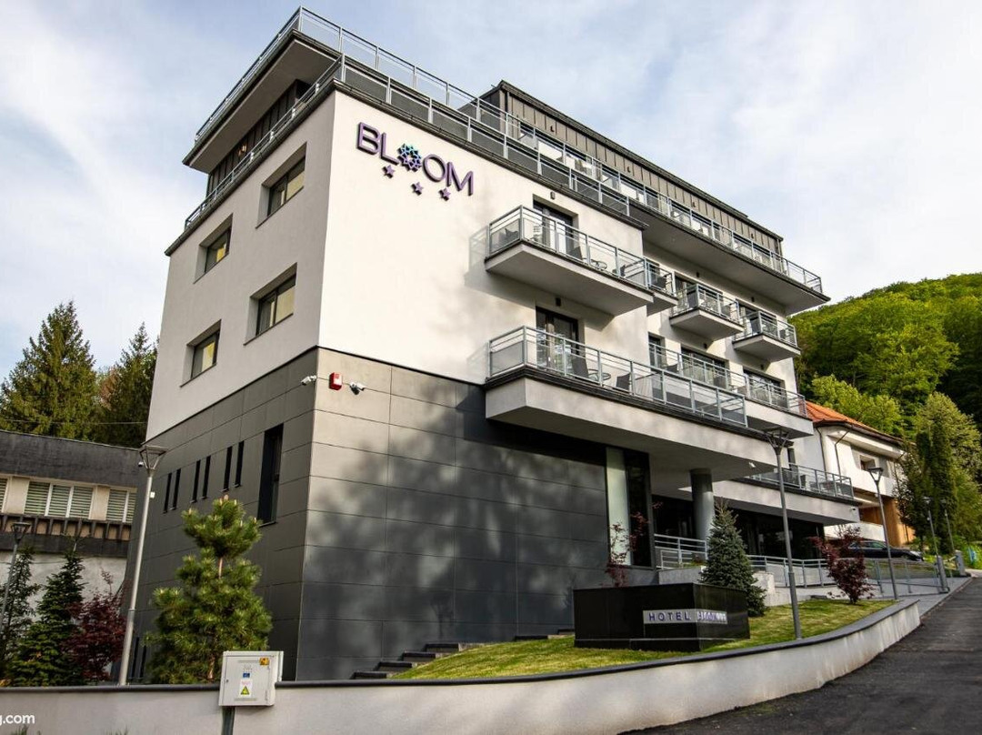 Hotel Bloom主图