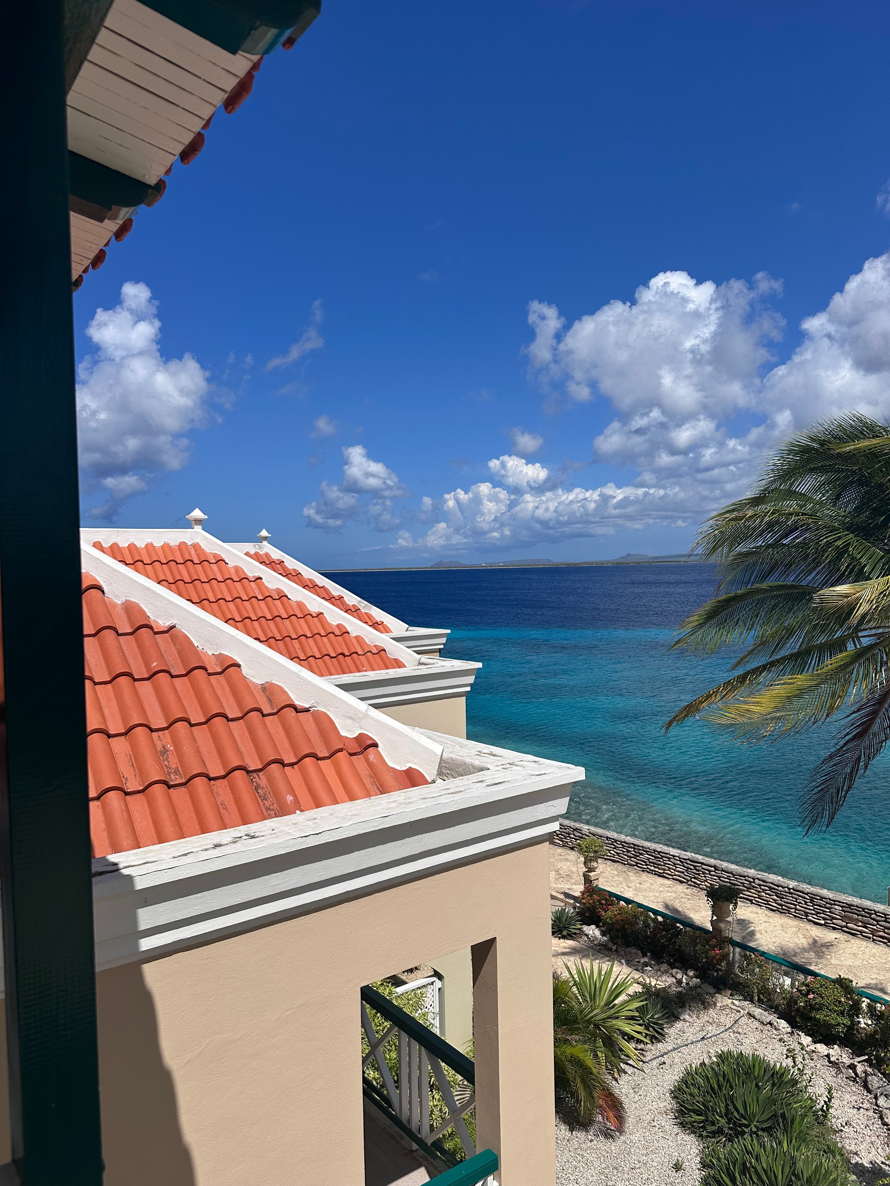 Port Bonaire Residencia-官方