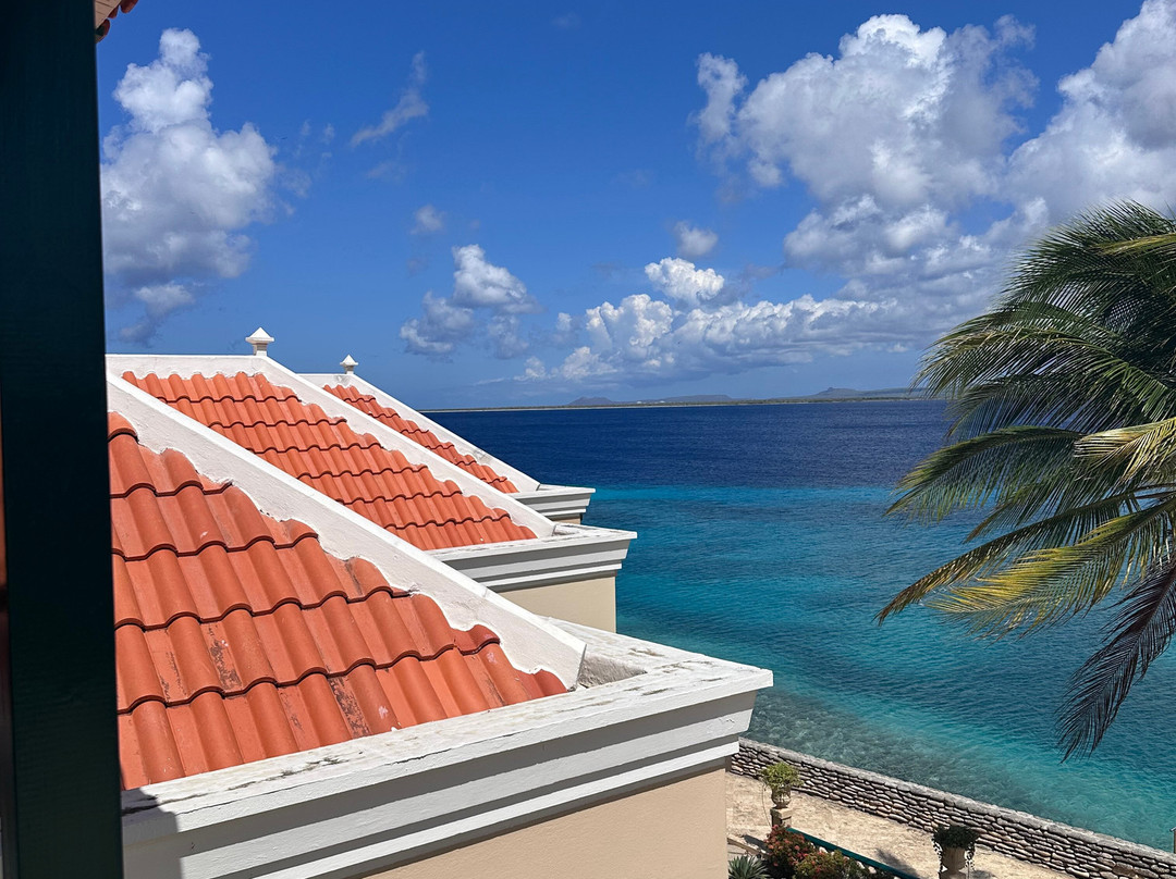 Port Bonaire Residencia主图