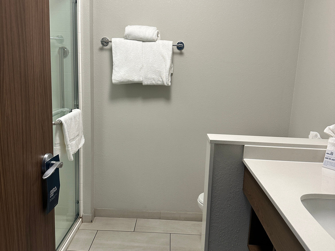 Holiday Inn Express & Suites Roanoke - Civic Center by IHG主图