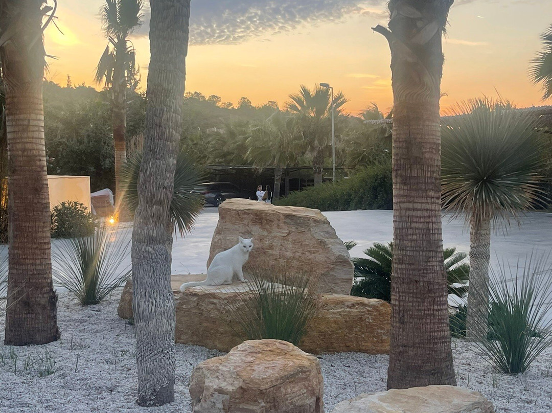 Playa Tropical景点图片