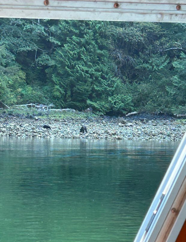 Jamie's Whaling Station and Adventure Centre - Ucluelet景点图片