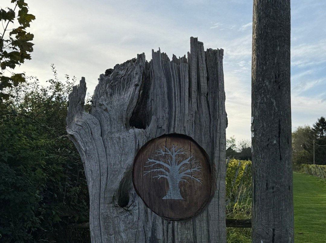 English Oak Vineyard景点图片