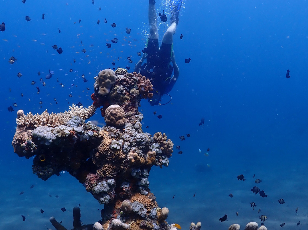 Bali Luxury Divers BLD-艾湄湾必去景点