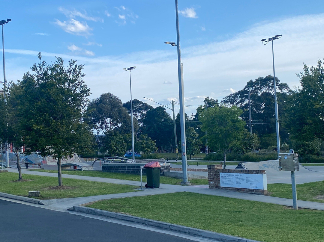 Sydenham Green Skate Park景点图片